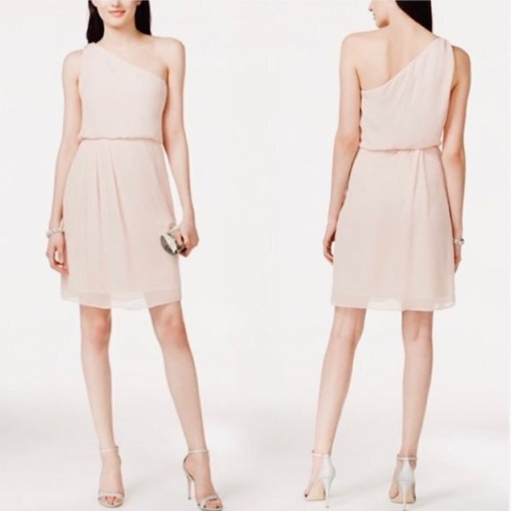 Adrianna Papell Pastel Pink One-Shoulder Chiffon Ruffle Bridesmaids Dress Size 4